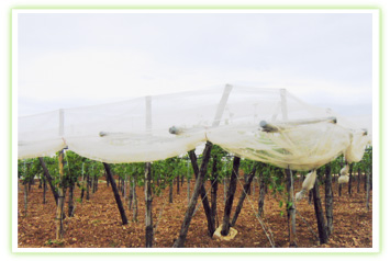 Global B2B directory Global trade lead